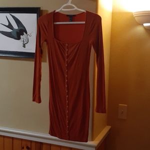 Form fitting button down dress